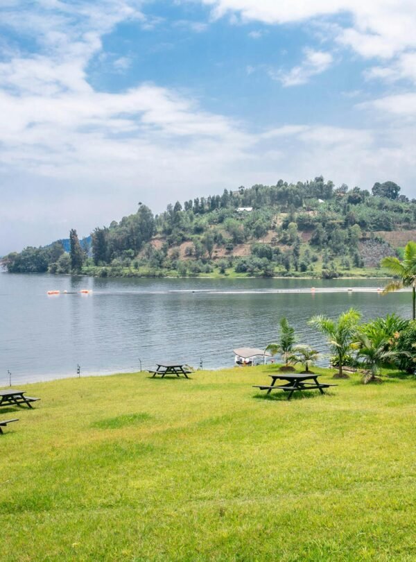 pexels-rwanda-lens-2151341471-31850571